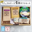 チーズコレクション アソート BOX 500g 10g×50個 7ヶ国・10種類のチーズの詰め合わせ パルミジャーノレッジャーノ コンテ グリュイエール ミモレット ゴーダ コルビージャック レッドチェダー スモークプレーン サムソー ステッペン おうちのみ ナチュラルチーズ