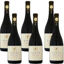 ヴィニウス ピノノワール クラシック 6本 Vinus Pinot Noir Classique