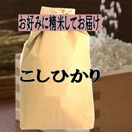 玄米仕立　京都府　中丹産コシヒカリこしひかり令和5年産玄米5kgお好みに精米してお届け【送料無料　一部除く】