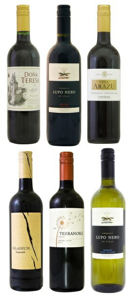 安旨厳選ワイン6本セット!(アラズ、ルポR、テレサグラディウム、テラノブレM、ルポB)【送料無料 一部除く】 ss