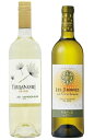 ソーヴィニヨンブラン飲み比べセットフランスVSチリ レタンヌ テラノブレ ソムリエ試験対策