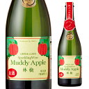 【全品P3倍4/30 0時～24時】マディ アップル ドライ スパークリングワイン 750ml 長野県 泡 Muddy にごり シードル ワイン リンゴ 林檎 長S 母の日 父の日 ギフト