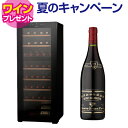 ワイン付★ワインセラー ルフィエール TwoTime40+ (C55WBD) 40本 コンプレッサー式 家庭用 業務用 2温度帯 1年保証 送料設置無料