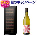 ワイン付★ワインセラー ルフィエール TwoTime40+ (C55WBD) 40本 コンプレッサー式 家庭用 業務用 2温度帯 1年保証 送料設置無料