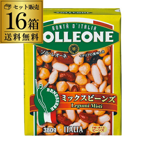 ソルレオーネ ミックスビーンズ 紙パック 380g×16箱 ひよこ豆 金時豆 白いんげん豆 イタリア 長S