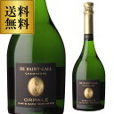 送料無料サン ガール オルパール ブラン ド ブラン ブリュット ミレジメ 2008 750ml コート デ ブラン シャンパン シャンパーニュ 浜運A 映え ...