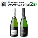 1本あたり11,000円(税込) 送料無料 シャンパーニュ パルメ 2本セット 正規品 750ml 2本入シャンパン メゾン ワインセット 浜運A いちおしシ...