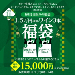 【11/1限定 1,000円OFFクーポン】送料無料 11/1限定！銘醸ワイン3本入り福袋 2種類のコースからお好きに選べる♪銘醸赤ワイン3本コース シャンパーニュ3本コース おひとり様1セット限定 ワイン福袋 長S