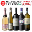 【全品P3倍 5/5 0時～24時&1,000円クーポン使える】1本当たり2,200円(税込) 送料無料美味しいから仕入れたらたまたまBIOワインだった5本セット赤 白 泡 ワインセット 浜運 ビオ BIO 母の日 父の日 ギフト