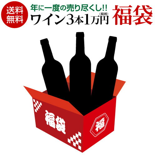 送料無料 ワイン3本 1万円(税別) 決算 福袋赤1本 白2本ワイン福袋 辛口 赤ワイン 白ワイン 浜運