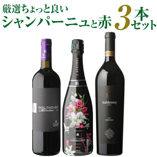 【送料無料】ちょっといいシャンパーニュ3本セットワインセット フランス シャンパン 泡 浜運