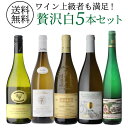 ワイン飲み比べセット 1本あたり3,960円送料無料自信を持っておすすめするワイン上級者も満足！白ワイン5本セット 5弾白 ワインセット 飲み比べ 浜運 母の日 父の日 ギフト