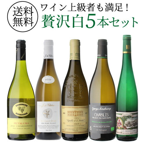 【全品P3倍 5/30限定】1本あたり3,960円 送料無料自信を持っておすすめするワイン上級者も満足！白ワイン5本セット 6弾白 ワインセット 飲み比べ 浜運 父の日 お中元 ギフト