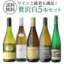 ワイン飲み比べセット 【800円OFFクーポン 5/1～2　9:59まで】【2セット1,000円OFFクーポン使える】1本あたり3,960円送料無料自信を持っておすすめするワイン上級者も満足！白ワイン5本セット 6弾白 ワインセット 飲み比べ 浜運 母の日 父の日 ギフト