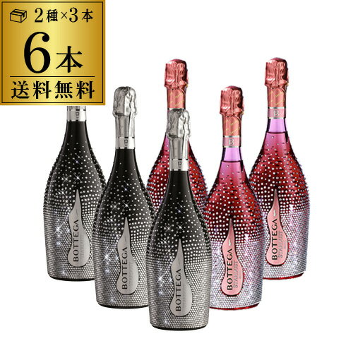 (予約)2024/6月上旬発送予定 1本あたり12,400円(税込) 送料無料 ボッテガ スターダスト 白＆ロゼ 2種×3本 6本セット 正規品 BOX付 750ml 6本入2種 スパークリング 辛口 ワインセット 浜運