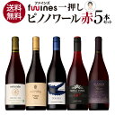 1本あたり2,376円(税込) 送料無料一押しピノノワール赤5本セット 750ml 5本入ファインズ 赤ワイン 飲み比べ ギフト ワインセット 浜運