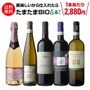 【1本あたり2,880円(税込) 送料無料】美味しいから仕入れたらたまたまBIOワインだった5本セット 6弾赤 白 泡 ワインセット 浜運 ビオ BIO ギフト