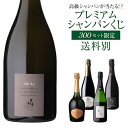 プレミアム シャンパンくじ 102弾 高級 シャンパン を探せ トゥルベ トレゾール 特賞 セドリックブシャール が当たるかも!? 【先着300本限り】 シャン...