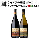 1本あたり4,400円(税込) 送料無料ボーエン トリアペレーション 赤白セット 750ml 2本入アメリカ カリフォルニア AVA 辛口 シャルドネ ピノ ノ...
