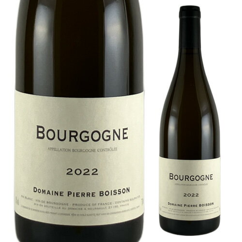 【P10倍】ブルゴーニュ ブラン [2022] ピエール ボワッソン 750ml フランス ブルゴーニュ 辛口 白ワイン 浜運Pアップ期間：10/24 20:00～27 9:59まで