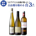 【P7倍】【1本あたり3,960円(税込)】送料無料白品種を極める 三大品種 白ワイン 3本セット 750ml 3本入リースリング シャブリ ソーヴィニヨンブラ...