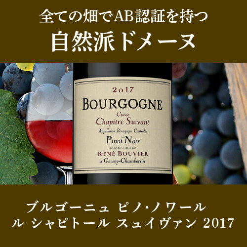 【P10倍】1本当たり2,660円(税抜) 送料無料 ブルゴーニュピノ・ノワール著名生産者赤ワイン3本セットファインズ ワインセット 赤ワイン 虎P期間：9/19〜27まで