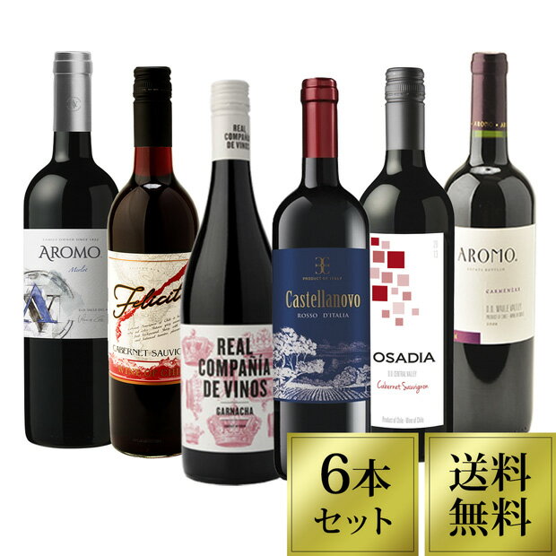 赤ワイン6本 ワインセット 【送料無料】 濃い味メニューを楽しむ | ワイン6本セット 赤 ミディアムボディ フルボディ チリ イタリア スペイン（クール料金別途）