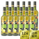 【クーポン配布中】ヴィーニャ マカテラ サングリア ワイン BIO 750ml 白 12本セット　ワインセット　【送料無料】