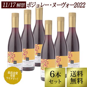 【予約販売 ボジョレー ヌーヴォー 2022】送料無料 ジャン・フルール ボジョレー・ヌーボー 2022 6本セット PET 500ml