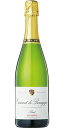 クレマン・ド・ブルゴーニュ シャトー・フュイッセ/ヴァンサン・エ・フィス 750ml (白スパークリング)【スパークリングワイン 泡 発泡酒 炭酸 微発泡 発泡性ワイン ハロウィン クリスマス 誕生日 結婚祝い パーティー】