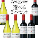 【ポイント10倍】チリワイン・バルディビエソ選べる6本セット!コスパ抜群のチリワインを自由に組み合わせよう! 750ml×6本