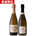 お一人様1セット限り ポール ゴッセ＆ルイ ニケーズ 2本セット ( 泡 白 ) (ワイン(=750ml)10本と同梱可)[S]