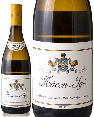マコン イジェ [ 2023 ]ドメーヌ ルフレーヴ ( 白ワイン ) [S]