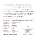 ●100g グアテマラ “ゲイシャ” ミラムンド( COE20237th) Guatemala 