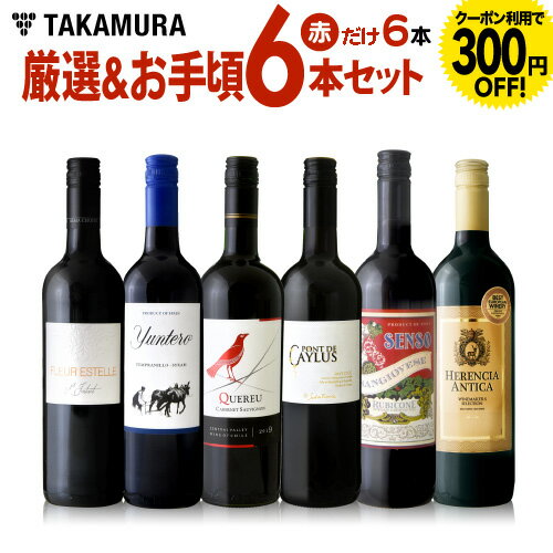 ワインセット 赤 送料無料 第142弾 厳選＆お手頃 赤ワイン 6本 セット 販売実績が物語るっ！味わいに妥協なし！初心者の方にもオススメ（追加6本同梱可）| デイリーワイン [T]