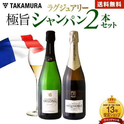 送料無料 第78弾 ラグジュアリーな気分をお手頃に！ 極旨＆厳選 シャンパン 2本 セ...