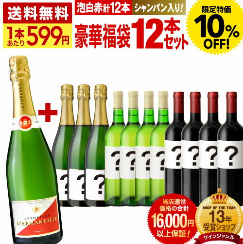 〈10％OFFで7182円！〉送料無料 1本あたり599円！シャンパン入り豪華福袋12本ワインセット！泡・白・赤が必ず3本づつ入って、シャンパン以外は開けてのお楽しみ♪ 12本の当店通常価格の合計は、必ず16000円以上を保証します！（同梱不可）〈あす楽〉[T] 超得企画のサムネイル