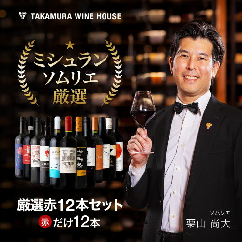 【2個でP5倍！3点以上でP10倍！要エントリー※6/11 1：59迄】ワインセット 赤 送料無料 第22弾 ★プラス1★ 世界5カ国の選りすぐり 赤ワイン 大集合！ 1本あたりたったの596円(税込)！厳選赤ワイン11本+1本 セット(同梱不可)| 飲み比べ ワイン デイリーワイン [T]のサムネイル