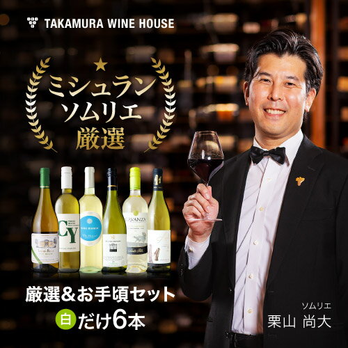 送料無料 第172弾 1本あたり764円 厳選＆お手頃 6本 白ワイン セット 販売実績が物語る！味わいに妥協なし！初心者の方にもオススメ！(追加6本同梱可) 飲み比べ ワインセット [T]