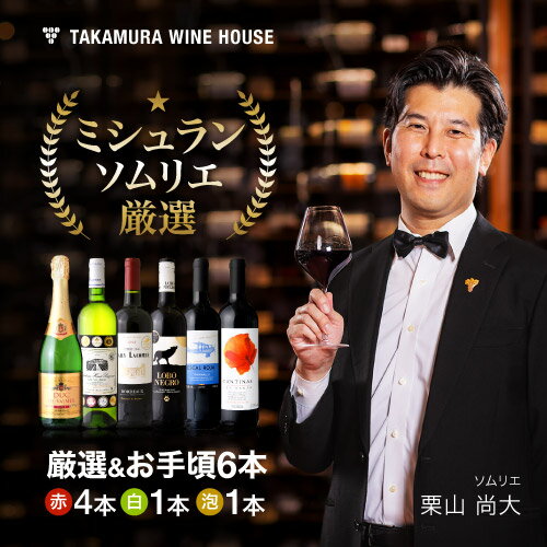 送料無料 第234弾 1本あたり780円 厳選＆お手頃 6本 ワイン セット (泡1 白1 赤4) 販売実績が物語る！味わいに妥協なし！初心者の方にもオススメ！(追加6本同梱可) 飲み比べ ワインセット [T]