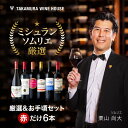送料無料 第173弾 厳選&お手頃 6本 赤ワイン セット 販売実績が物語る!味わいに妥協なし!初心者の方にもオススメ!(追加6本同梱可) 飲み比べ ワインセッ...