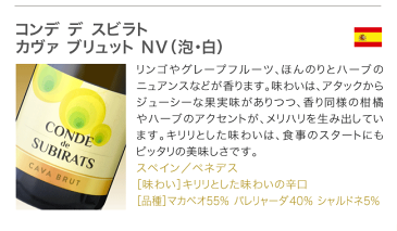 【最大5,000円OFFクーポン配布中】ワインセット 泡 送料無料 第99弾 辛口 スパークリングワイン 2本＋白ワイン3本 毎日ちょっといい感じ♪プチ贅沢気分が味わえる(追加7本同梱可)| 飲み比べ ワイン[T]