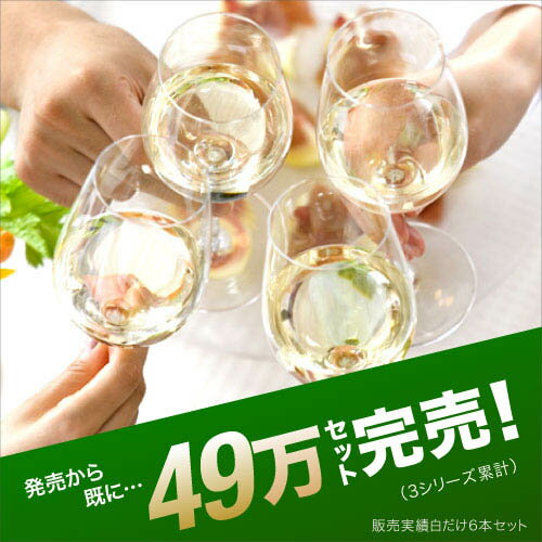 ワインセット 白 送料無料 第135弾 厳選＆お手頃 白ワイン 6本 セット 販売実績が物語るっ！味わいに妥協なし！初心者の方にもオススメ（追加6本同梱可） |デイリーワイン [T]