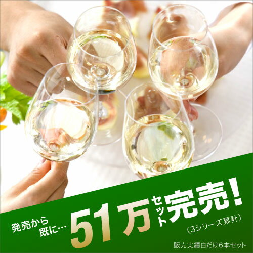 【最大5000円OFFクーポン配布中】ワインセット 白 送料無料 第141弾 ★プラス1★ 厳選＆お手頃 白ワイン 6本+1本 セット 販売実績が物語るっ！味わいに妥協なし！初心者の方にもオススメ！(追加5本同梱可)| 飲み比べ ワイン デイリーワイン [T]