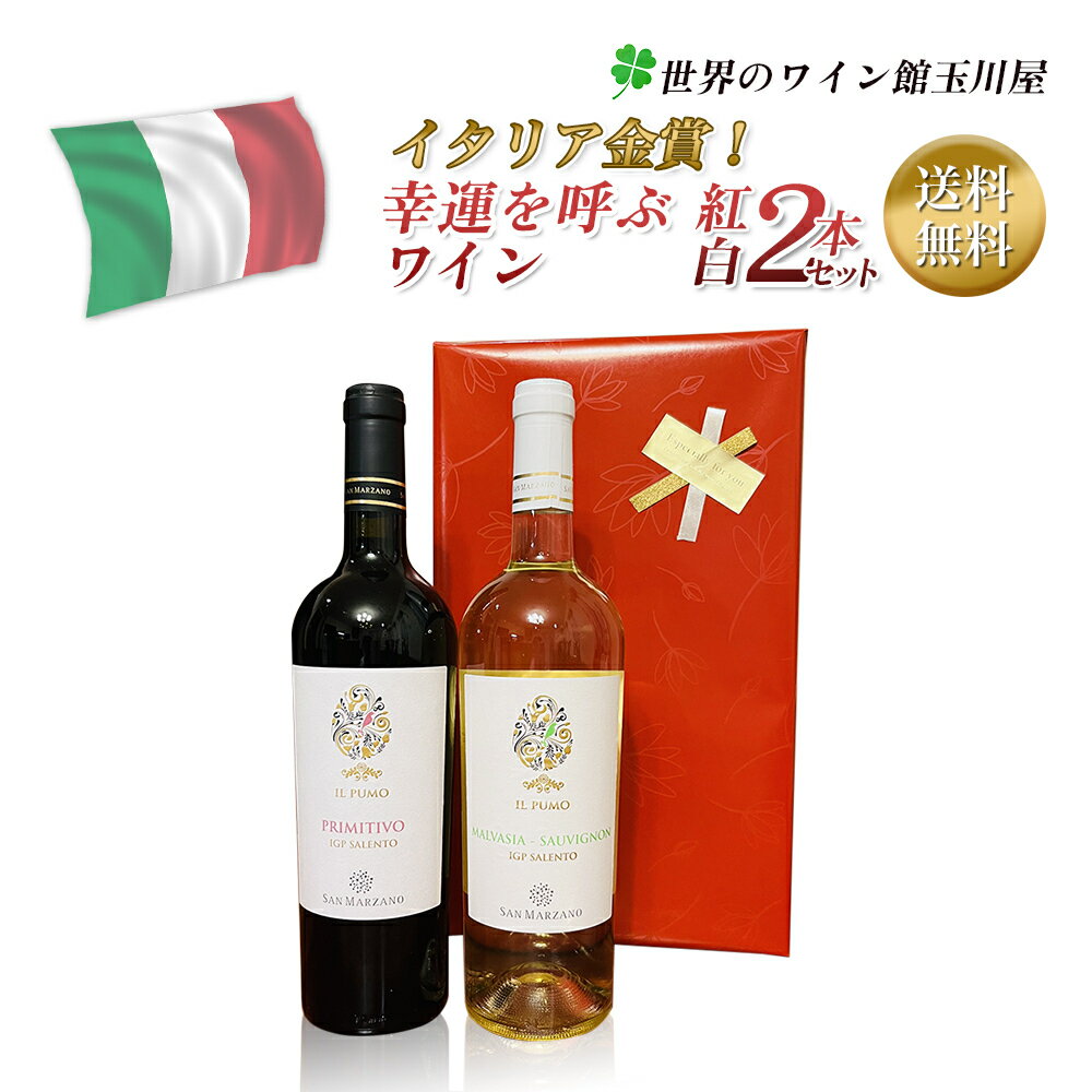 イタリアワイン 【全品P2倍★本日限り】　ワイン ギフト送料無料】金賞イタリア　赤白2本ワインセット　赤ワイン＆白ワイン各750ml　2本入　辛口　お祝い　誕生日 　　　ギフト 父の日 金賞 750ML おすすめ