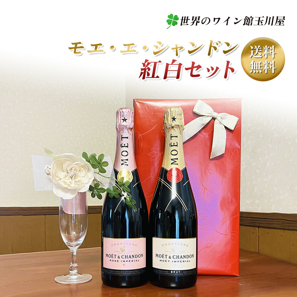 【全品P2倍★本日限り】　シャンパン ギフト【送料無料】モエ・エ・シャンドン紅白セット　ブリュット＆ロゼ　2本組シャンパンセット(泡2) 　ギフト 父の日 金賞 750ML おすすめ