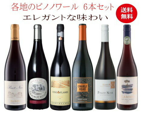 【全品P2倍＆クーポン付★本日限り】　ピノ好き集合 【送料無料】銘醸地のピノ飲み比べ！ピノノワール6本セット ピノ・ノワール 赤 赤ワイン ワインセット 　　　ギフト 母の日 金賞 750ML おすすめ