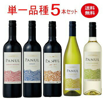 【全品P2倍★本日限り】　 赤ワインが3本入った100％単一品種5本セット 750ml(カベルネ・ソーヴィニヨン、メルロー、カルメネール、シャルドネ、ソーヴィニヨン・ブラン)×5本　ギフト 父の日 金賞 750ML おすすめ