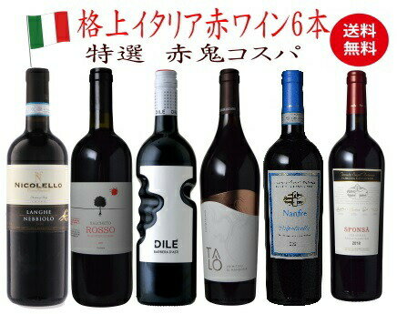 【全品P3倍★本日限り】　ワイン セット【送料無料】鬼コスパ プレミアム 6本セット 750ml 6本入 赤 ワインセット コスパ 赤鬼コスパ 飲み比べ 　 　　ギフト 母の日 金賞 750ML おすすめ