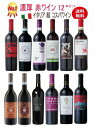 【全品P2倍★本日限り】【神の雫】厳選【イタリア 赤ワイン12本セット】イタリア ワイン 飲み比べ ソムリエ 神の雫 フルボディ 濃厚 金賞ワイン DOCG 飲み比べ イタリア ワインセット　ギフト 母の日 金賞 750ML おすすめ